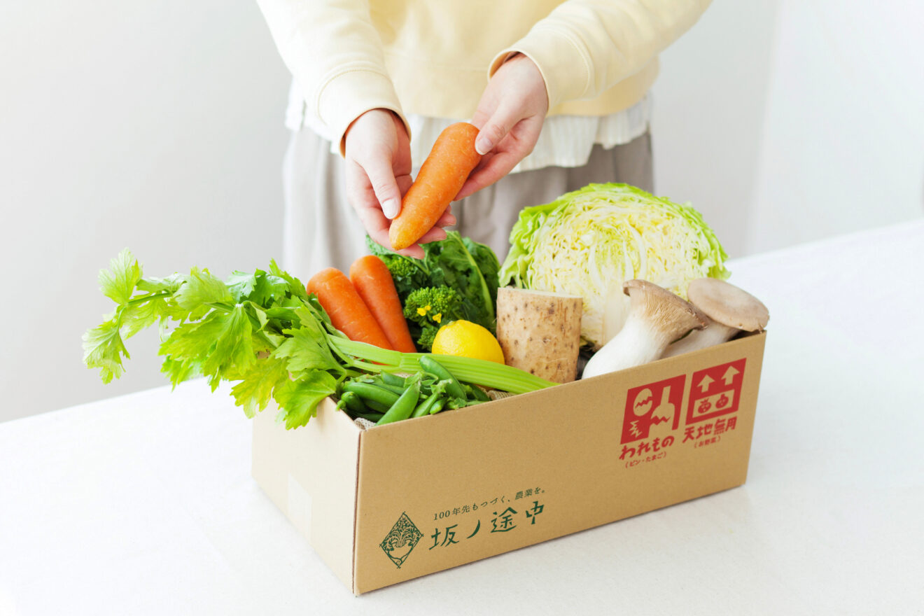 坂ノ途中 旬のお野菜セット[定期宅配](M) | 坂ノ途中 | サステナブルな