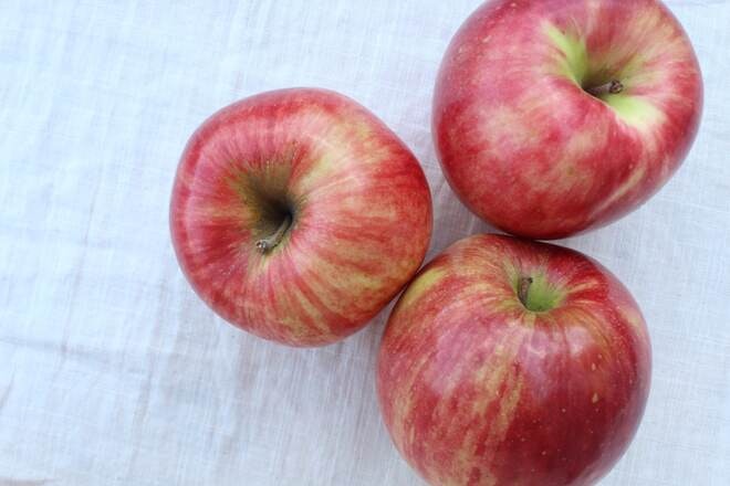 リンゴ（品種:さんさ）　4kg
