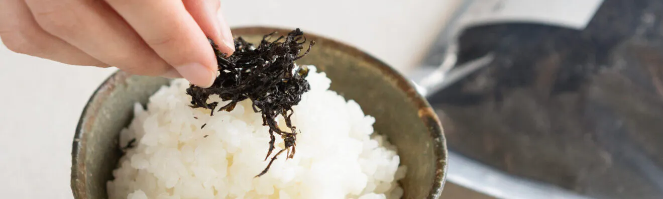 海苔・昆布・海産物