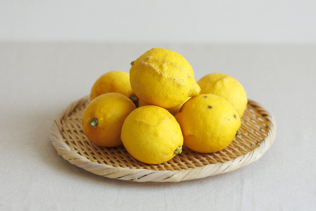 レモン 500g ／ 1㎏ | 坂ノ途中 | サステナブルな有機野菜と食品通販