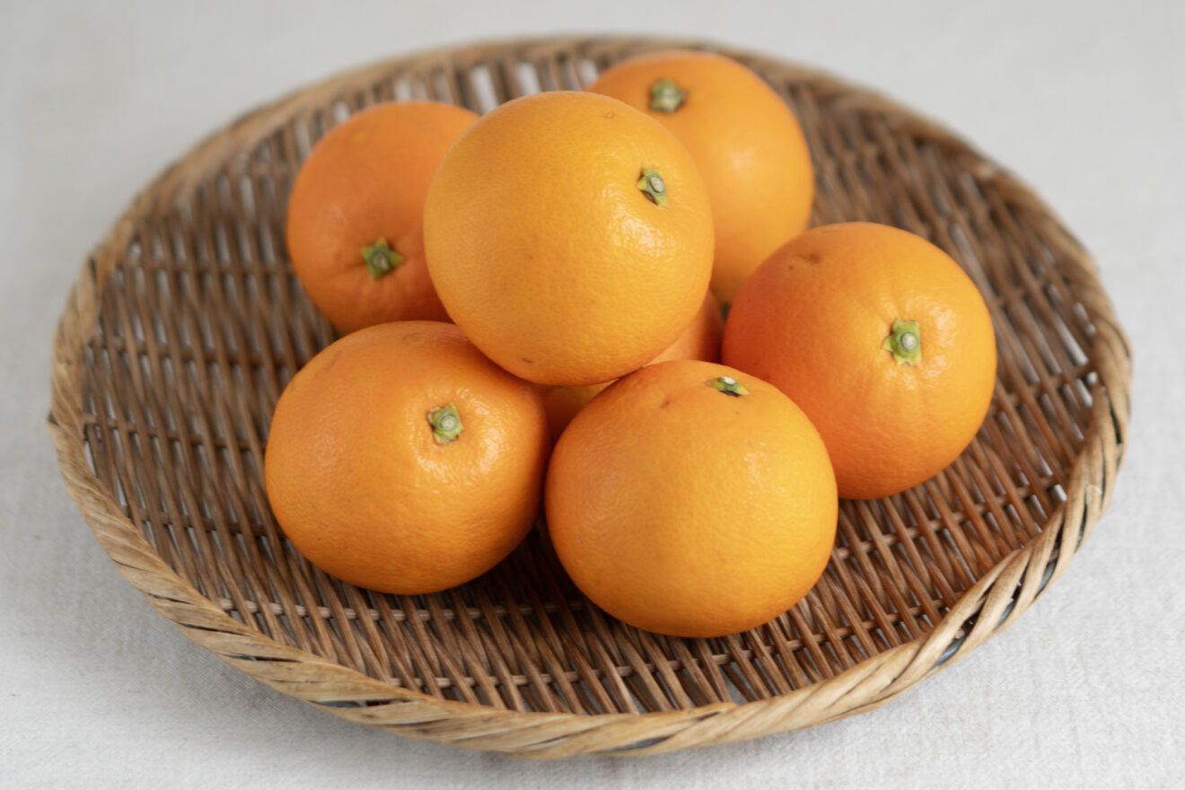 ネーブルオレンジ 1kg | 坂ノ途中 | サステナブルな有機野菜と食品通販