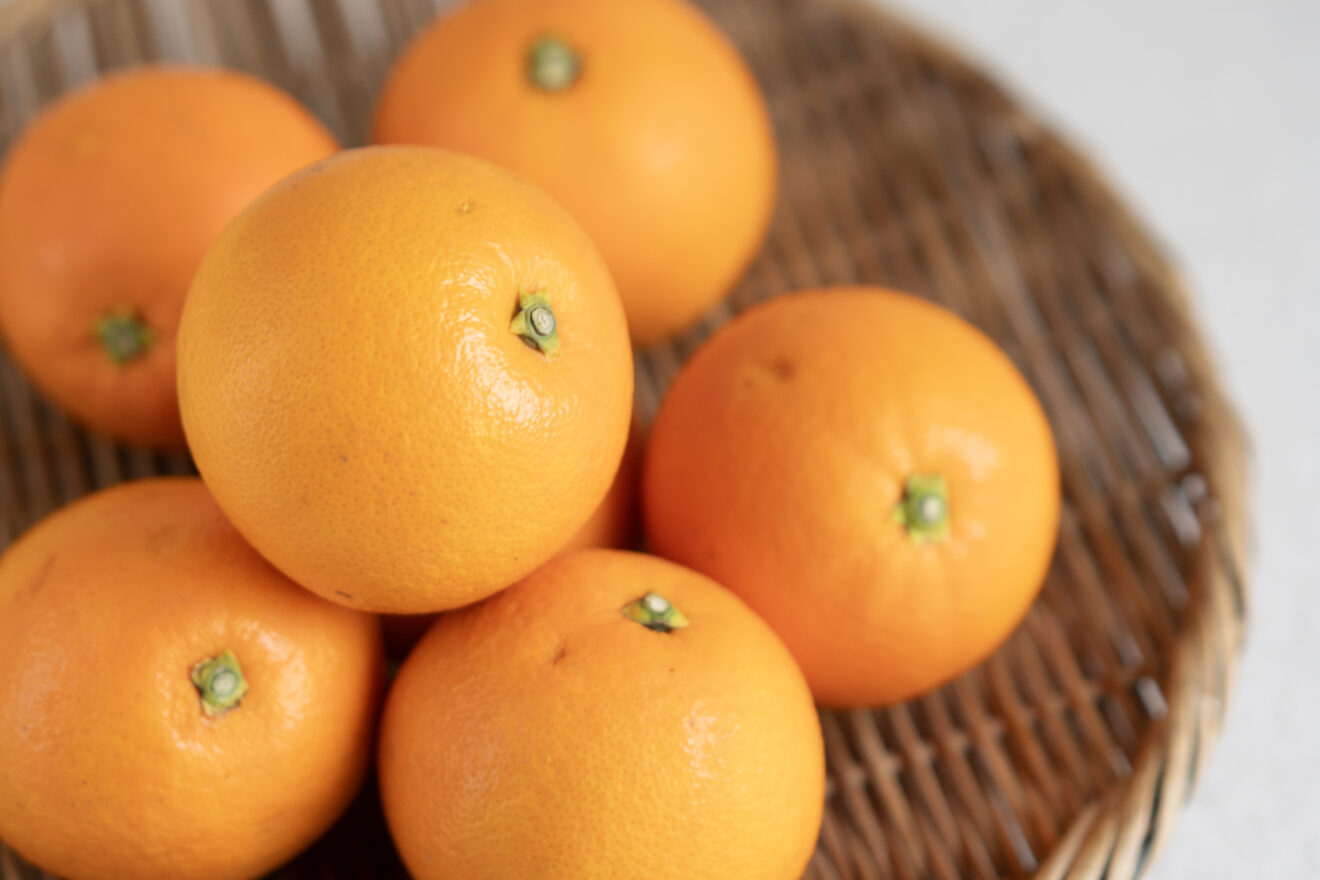 特別価格】ネーブルオレンジ 1kg（3～8個程度） | 坂ノ途中