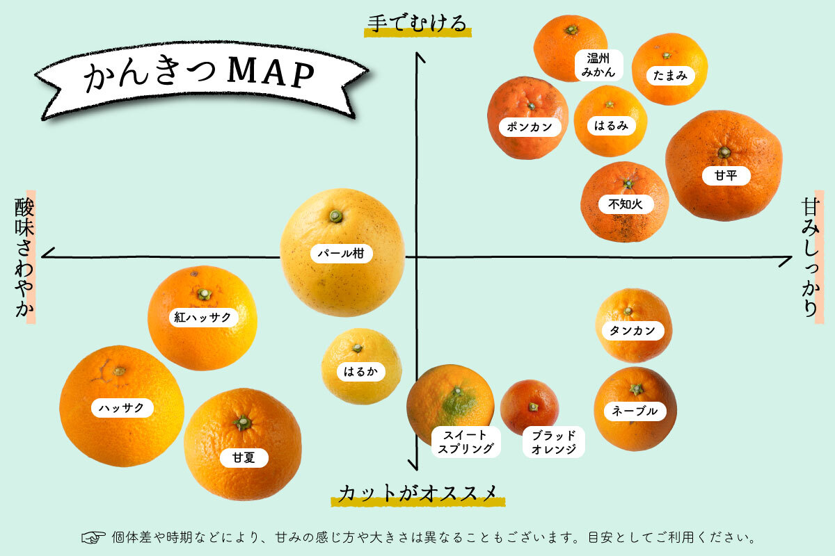 特別価格】ネーブルオレンジ 1kg（3～8個程度） | 坂ノ途中