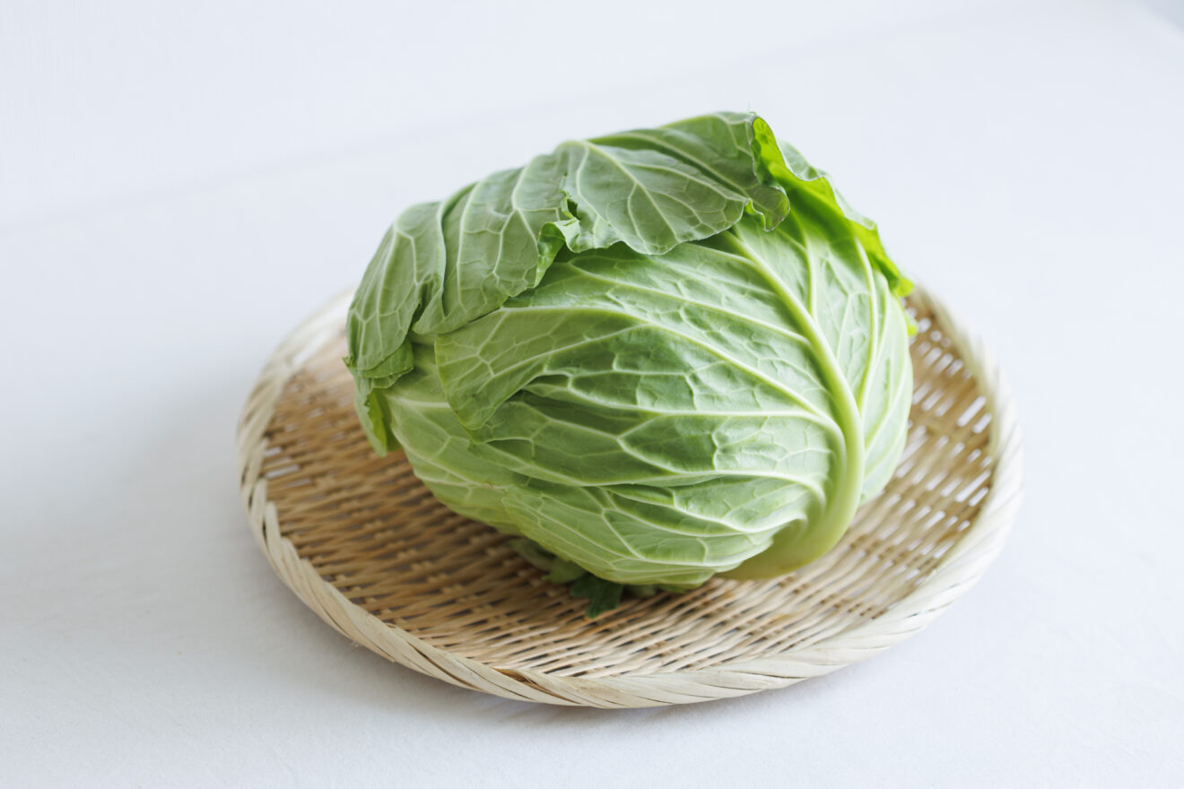 春系キャベツ 700g程度 | 坂ノ途中Onlineshop | 出会う、味わう、季節