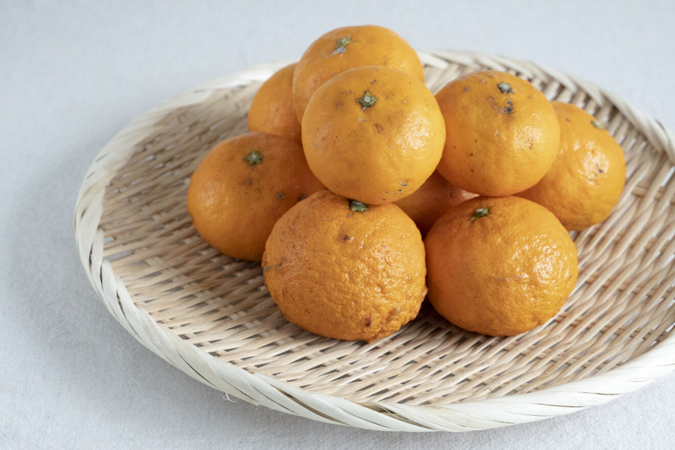 南津海（なつみ） 1kg | 坂ノ途中Onlineshop | 出会う、味わう、季節の