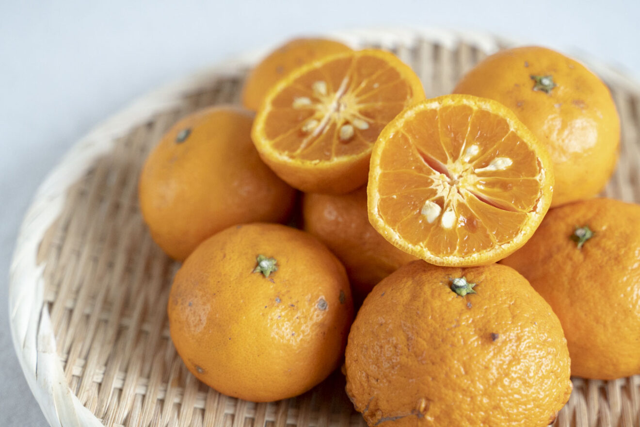 南津海（なつみ） 1kg | 坂ノ途中 | サステナブルな有機野菜と食品通販