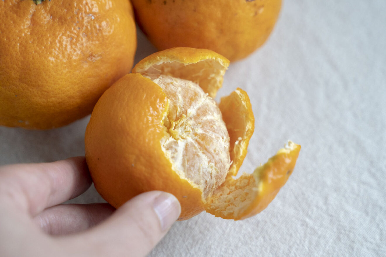 南津海（なつみ） 1kg | 坂ノ途中Onlineshop | 出会う、味わう、季節の