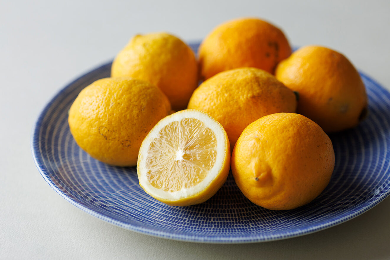 ✨即発送✨ノアグロウ MTS 25pinチップ×10個 レモンボトル 新品 A ✨即発送✨ノアグロウ 同型導入美容機器＋25pinチップ×10個 レモン