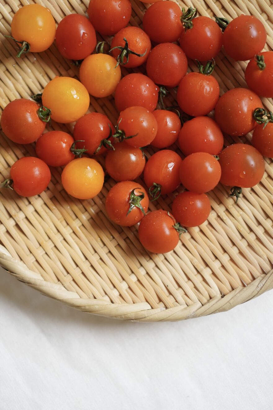 飛騨の山育ちミニトマト（カラフル） 150g | 坂ノ途中 | サステナブル