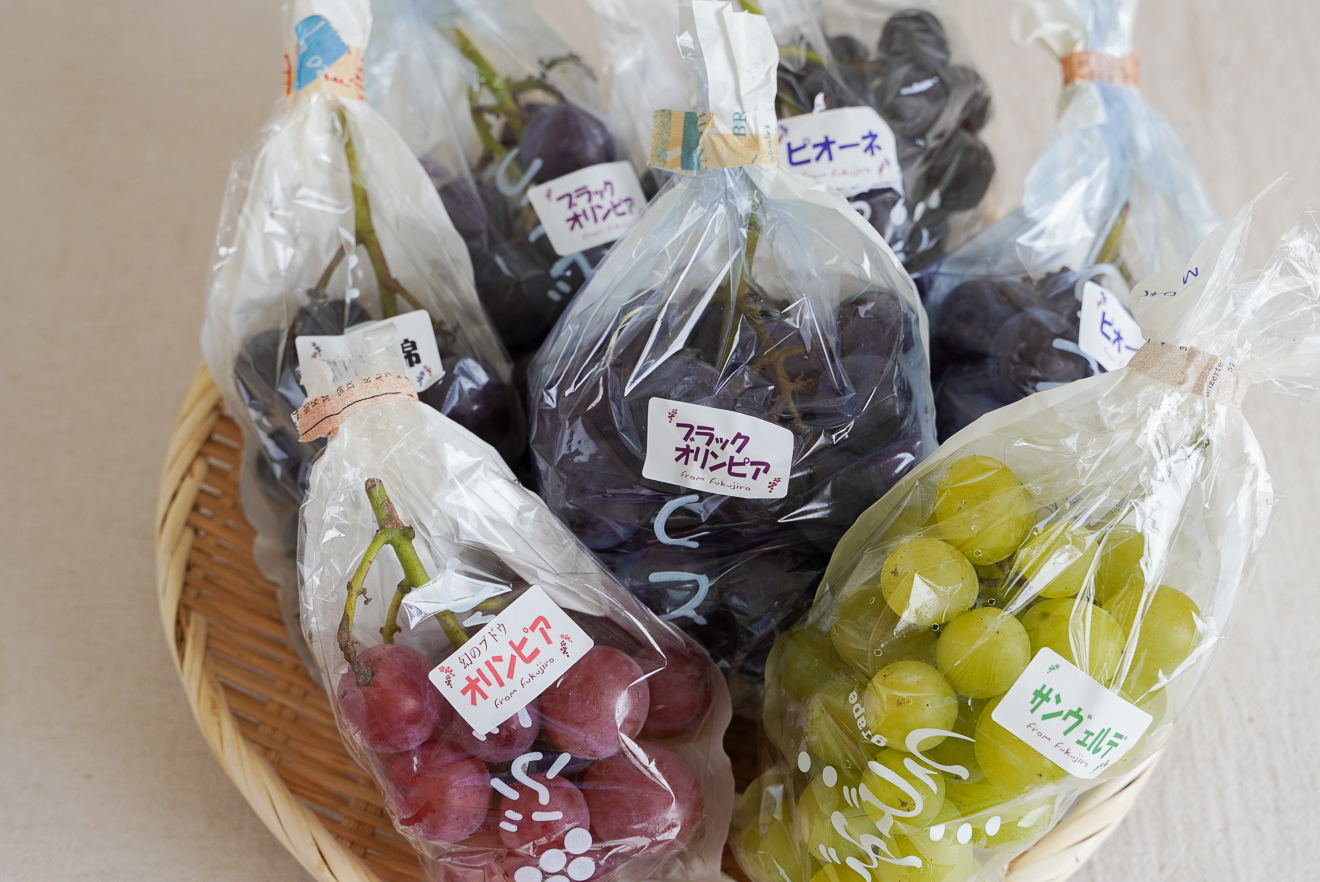 産地直送】葡萄畑ふくじろうのふぞろい濃厚ぶどう 1.8kg（送料込