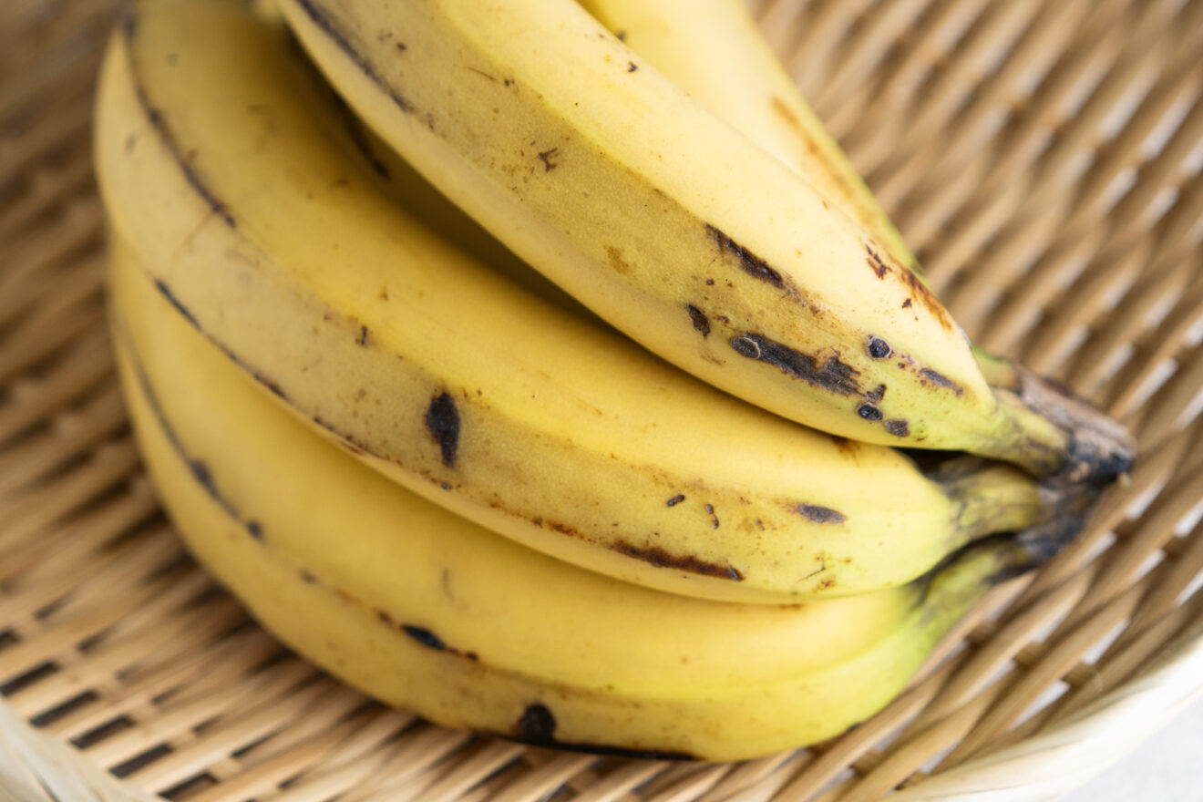 バランゴンバナナ 500g | 坂ノ途中 | サステナブルな有機野菜と食品通販