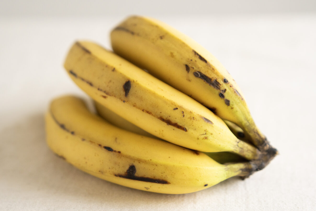 バランゴンバナナ 500g | 坂ノ途中 | サステナブルな有機野菜と食品通販