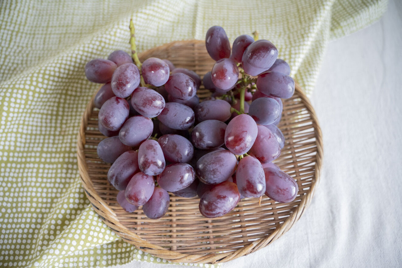 産地直送】特栽相当・山梨のぶどう・富士の輝き 1kg（送料込） | 坂ノ