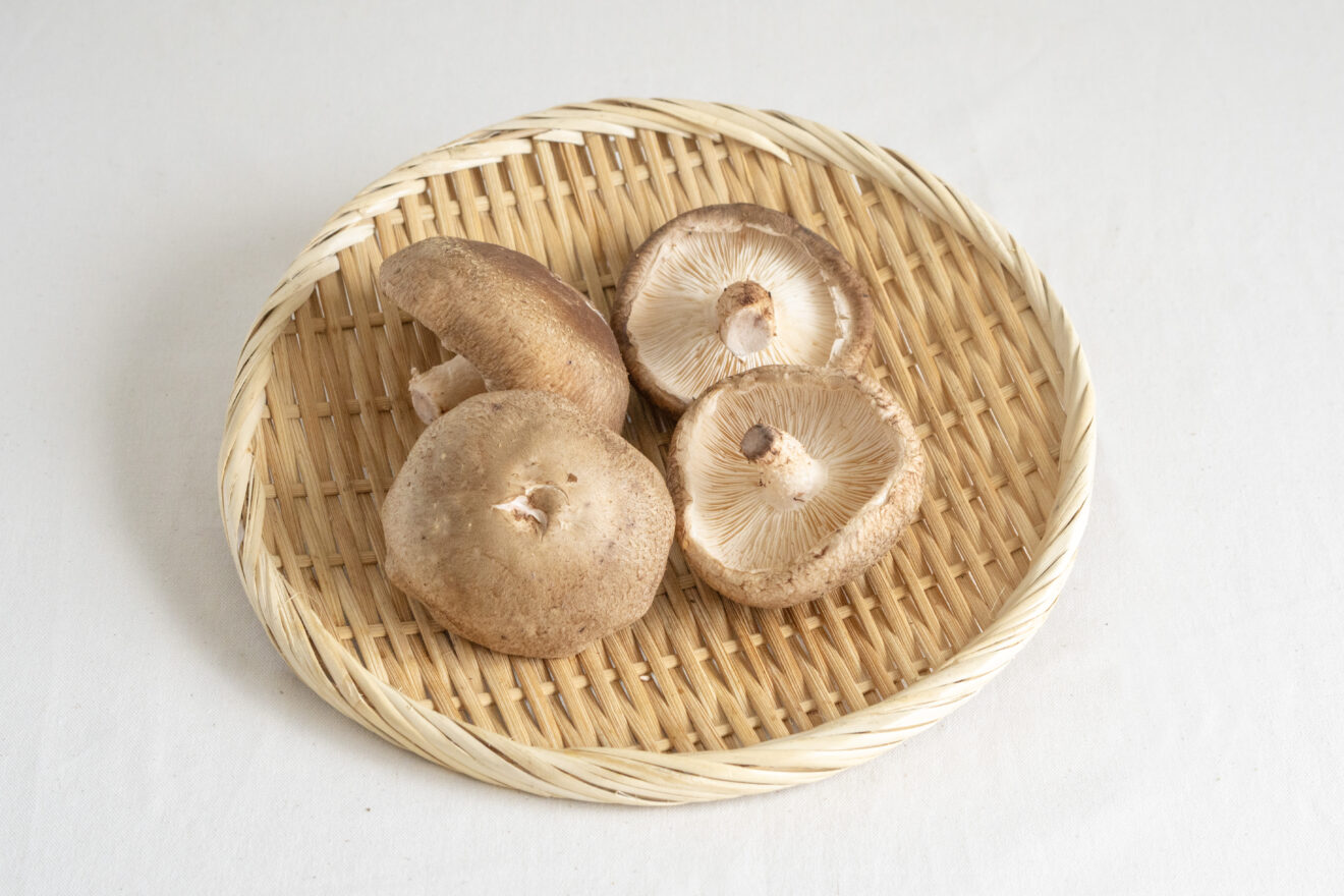 菌床生しいたけ 100g | 坂ノ途中 | サステナブルな有機野菜と食品通販