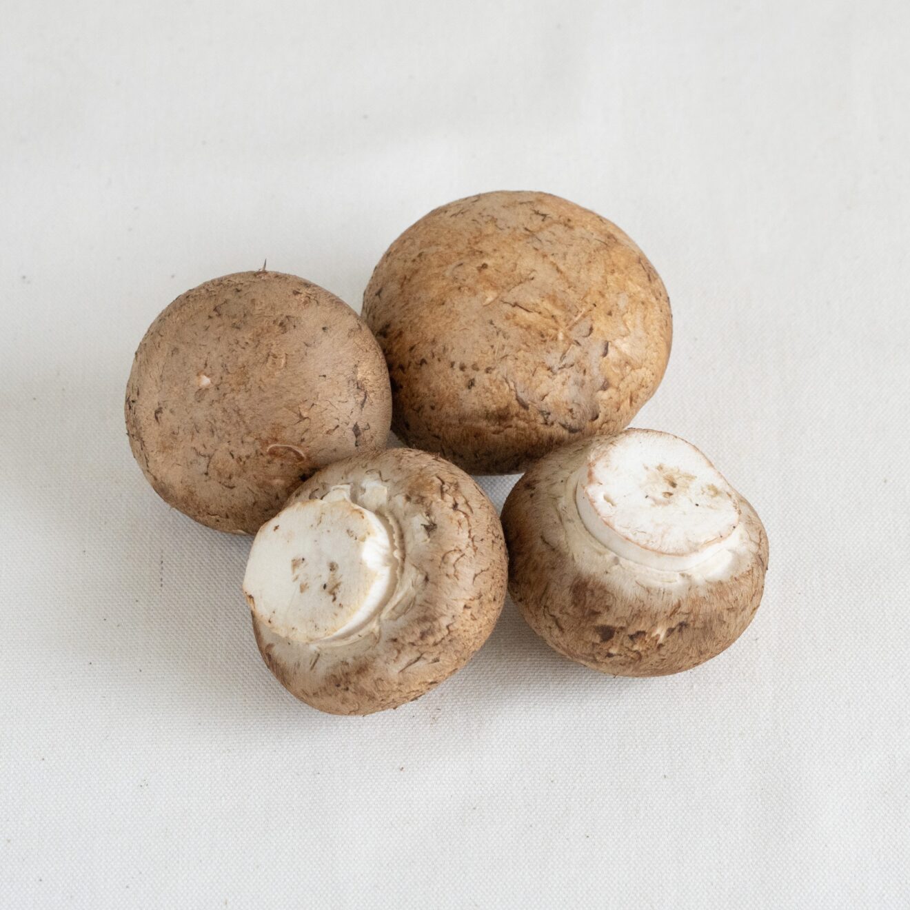 きのこおまかせセット[定期宅配] | 坂ノ途中 | サステナブルな有機野菜