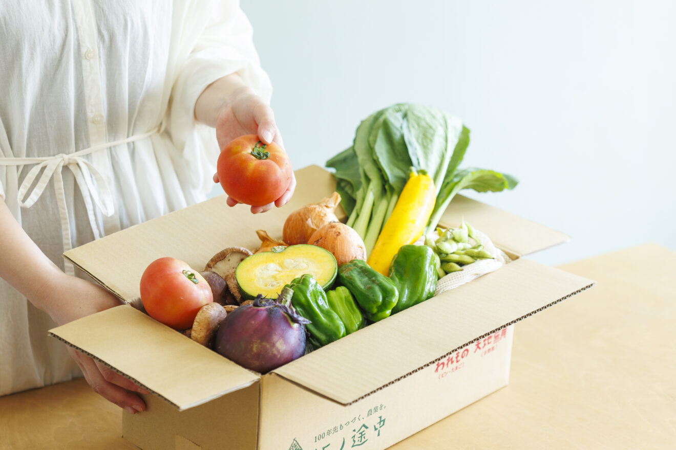 お野菜セット[定期宅配] | 坂ノ途中 | サステナブルな有機野菜と