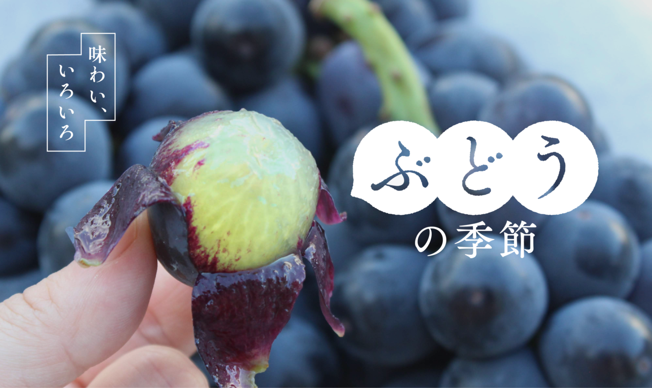 ぶどうの季節