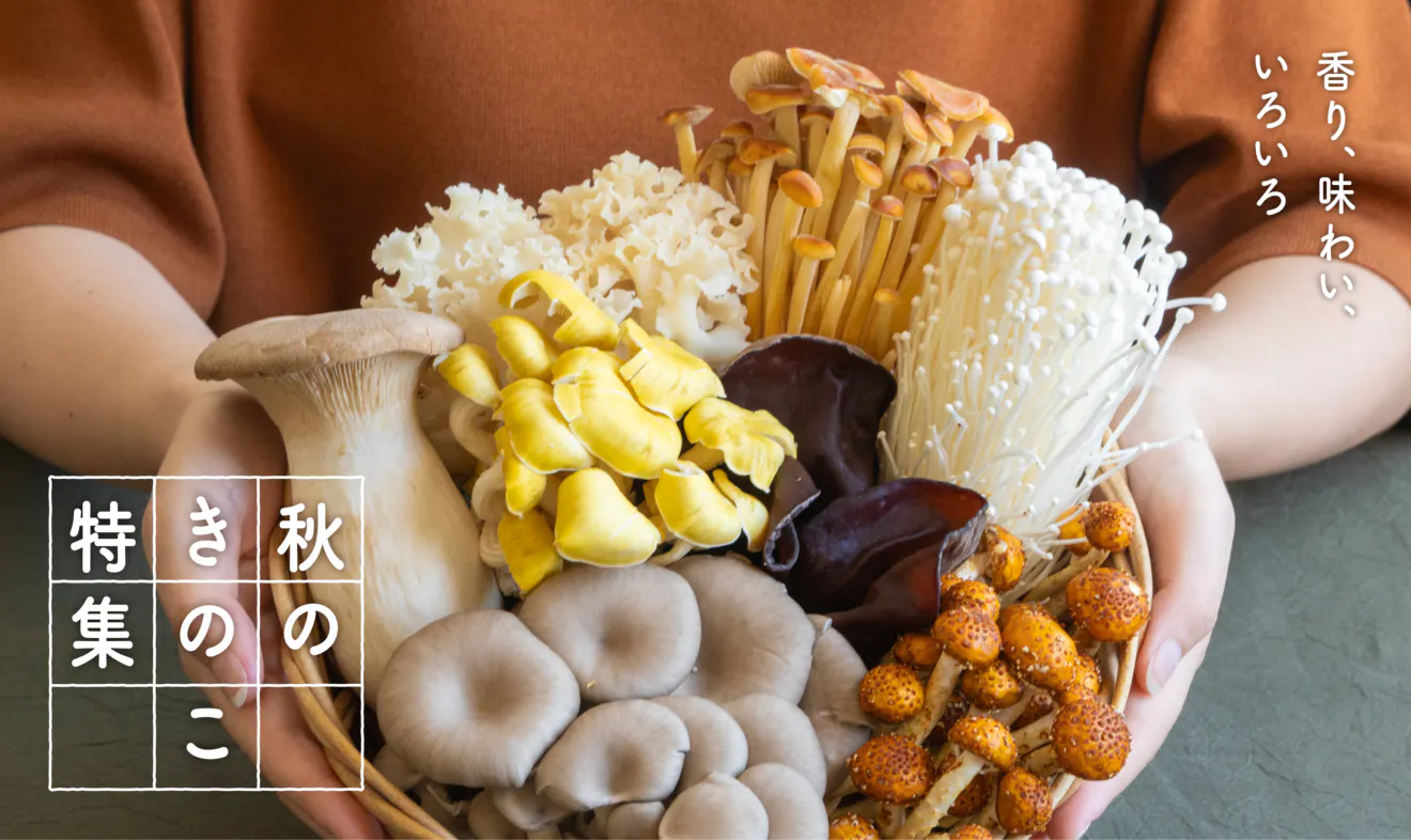 秋のきのこ | 坂ノ途中Onlineshop | 出会う、味わう、季節の暮らし。