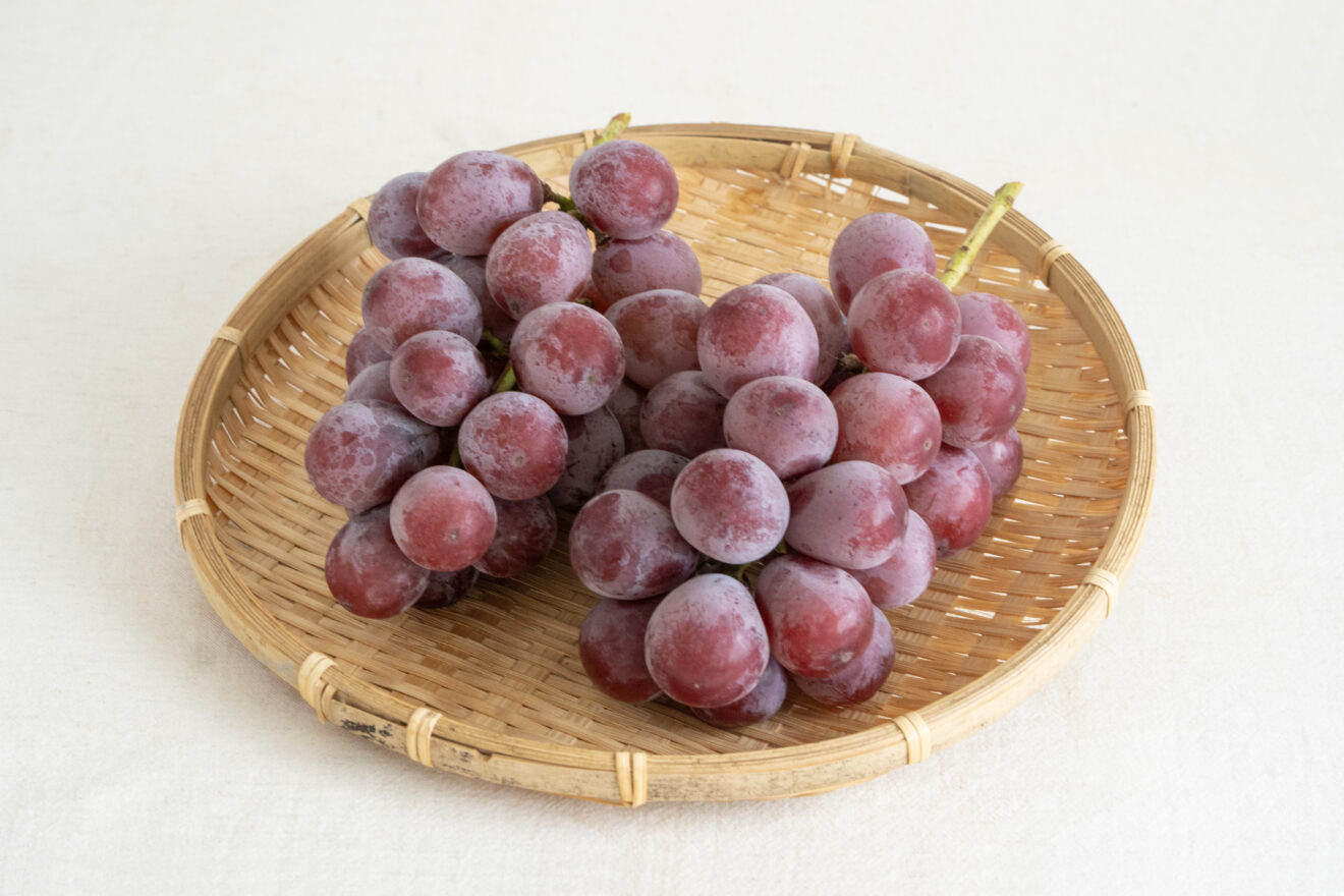 特別価格】【産地直送】長野県産クイーンニーナ 800g程度（特栽相当