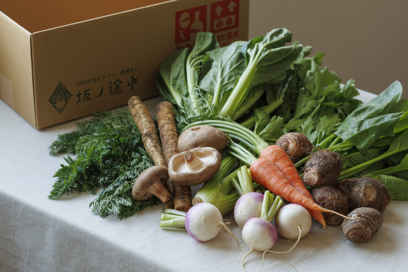 お野菜セット[定期宅配] | 坂ノ途中 | サステナブルな有機野菜と食品通販