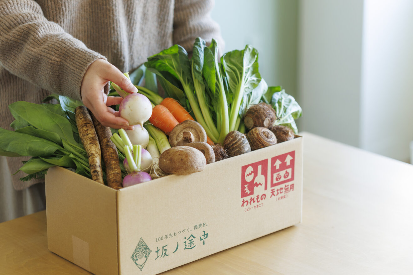 お野菜セット[定期宅配] | 坂ノ途中 | サステナブルな有機野菜と食品通販