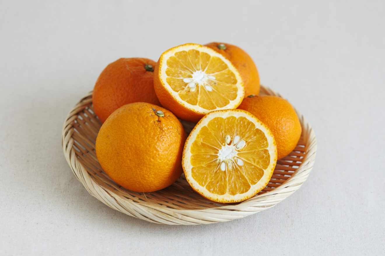 紅甘夏 1kg | 坂ノ途中Onlineshop | 出会う、味わう、季節の暮らし。