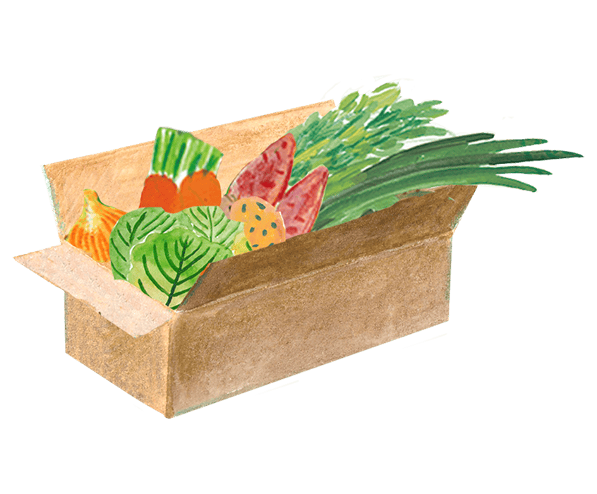 セット商品 アイコン