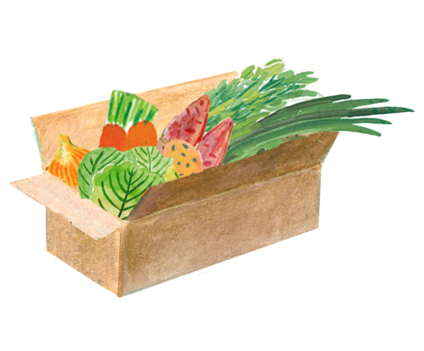 セット商品_アイコン