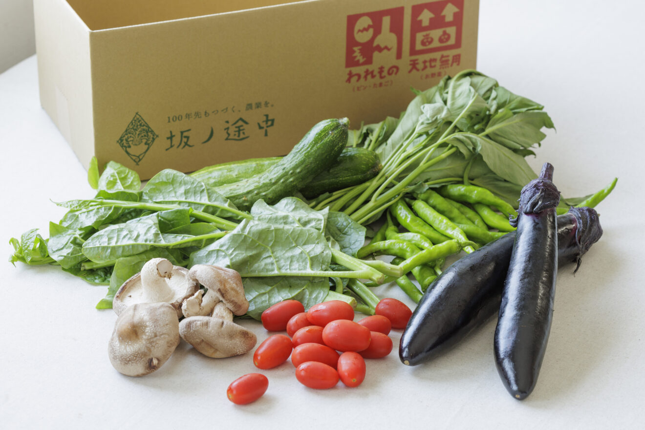 野菜セット例