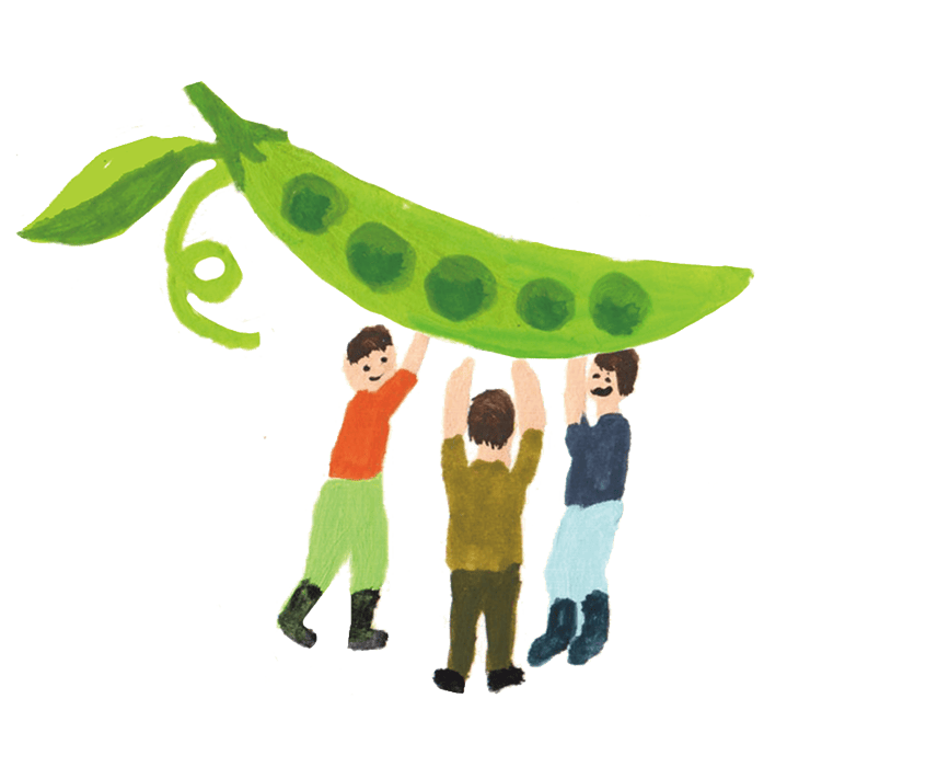 体験・イベント アイコン