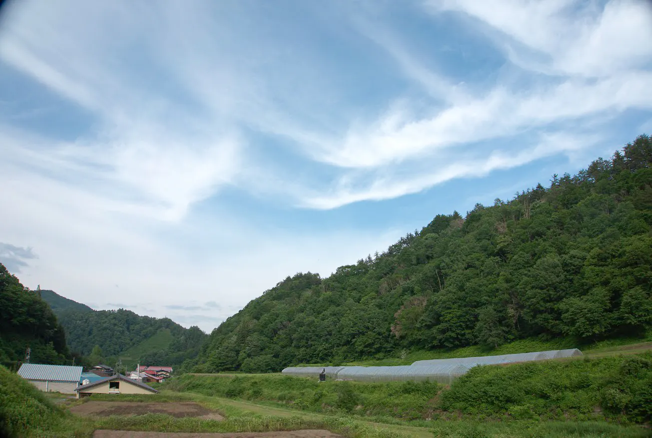 slide-5