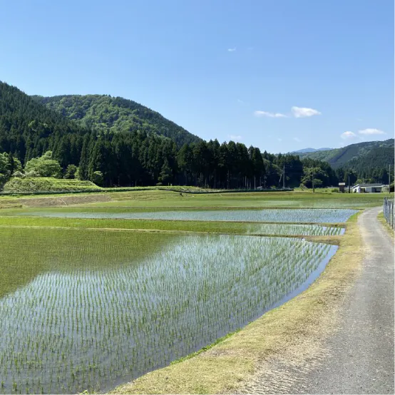 slide-3