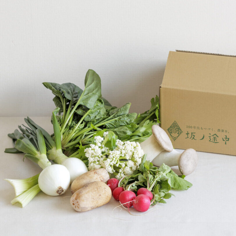 坂ノ途中 旬のお野菜セット[定期宅配] | 坂ノ途中Onlineshop | 出会う