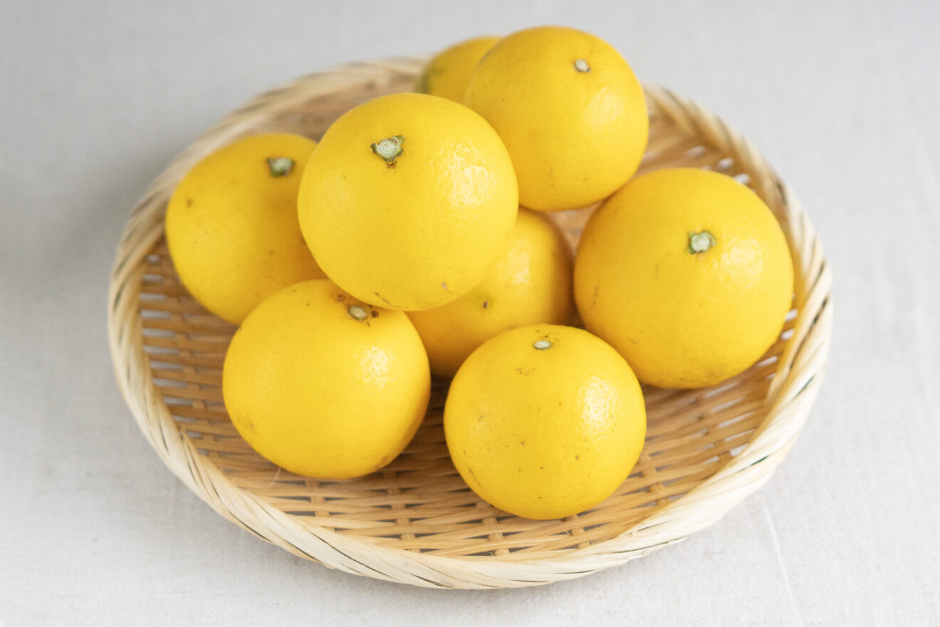 成熟した黄色の柑橘類果実　小夏 小夏（ニューサマーオレンジ） 1kg | 坂ノ途中Onlineshop | 出会う